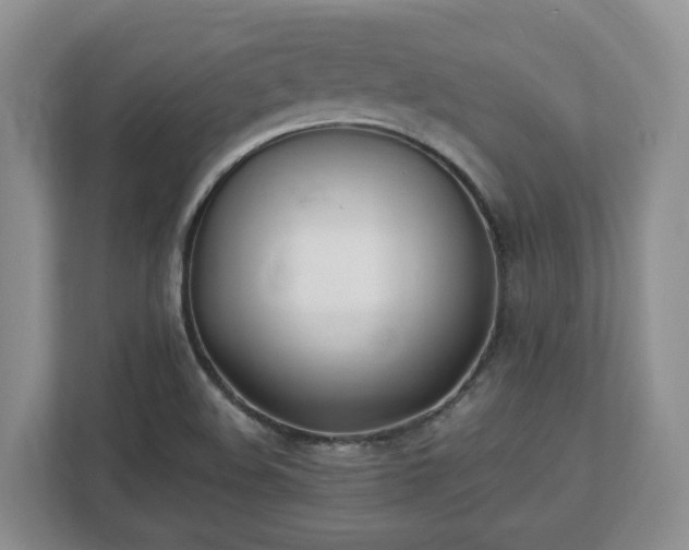 X0000113031508200909031241