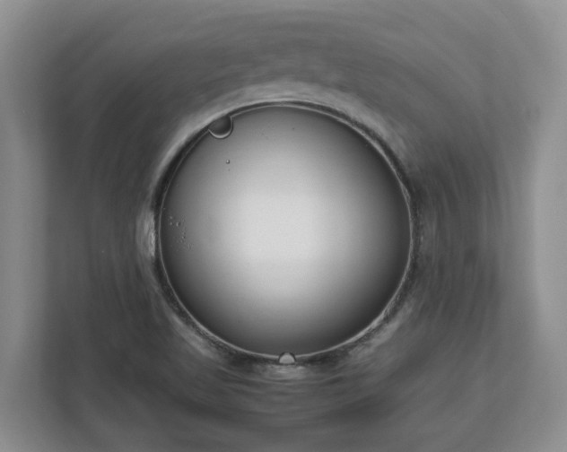 X0000113031509200909031241