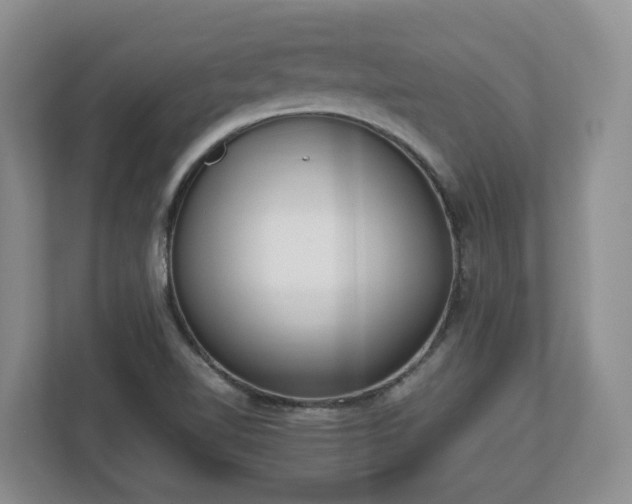 X0000113031510200909031241