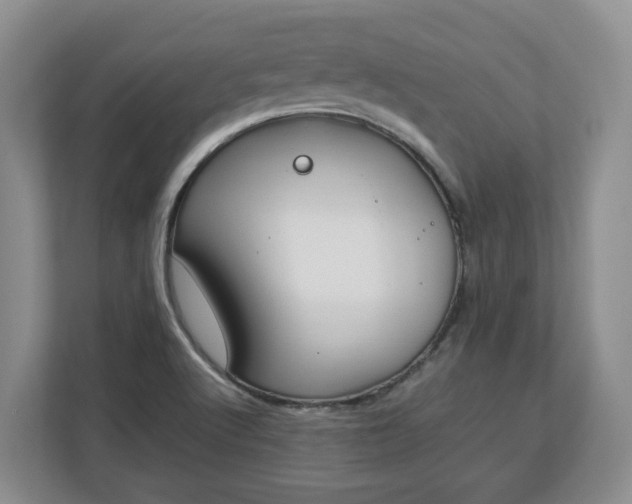 X0000113031512200909031241