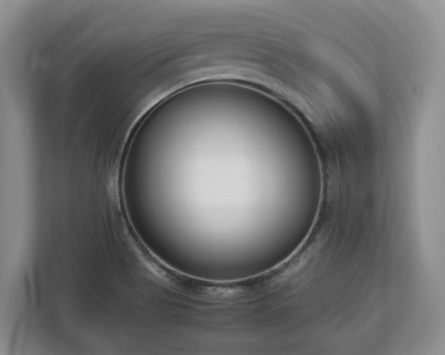 X0000113031513200909031241