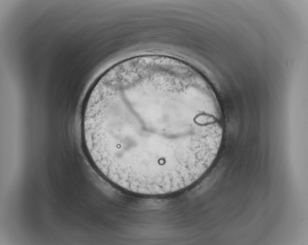 X0000113031514200909031241