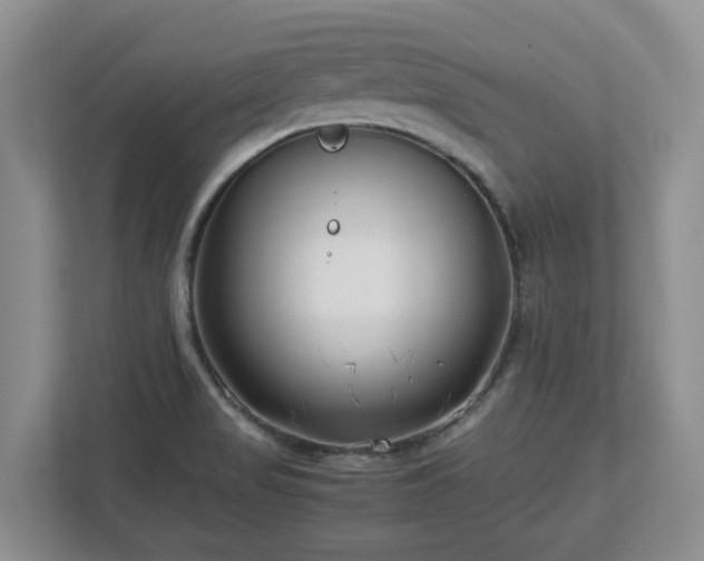 X0000113031517200909031241