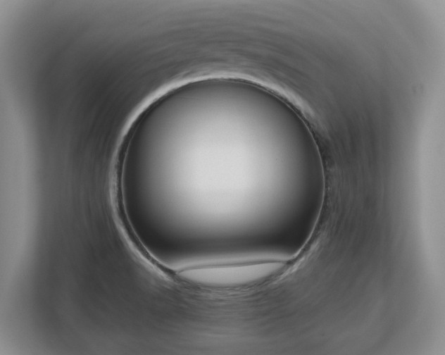 X0000113031518200909031241