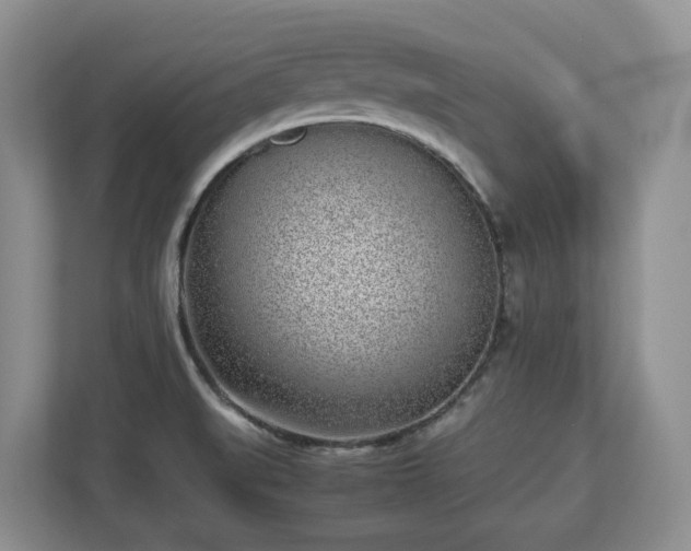 X0000113031519200909031241