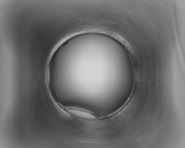 X0000113031520200909031241