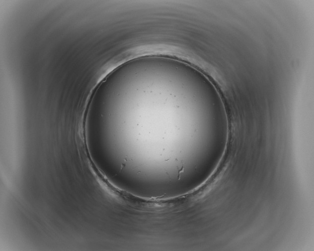 X0000113031521200909031241