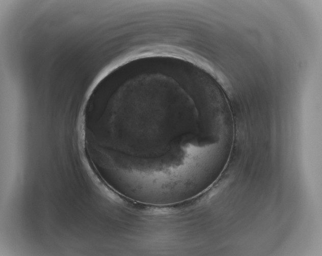 X0000113031522200909031241