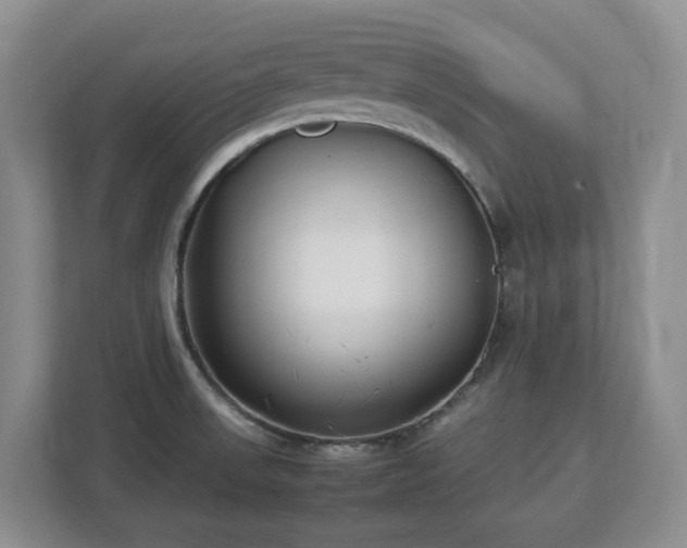 X0000113031523200909031241