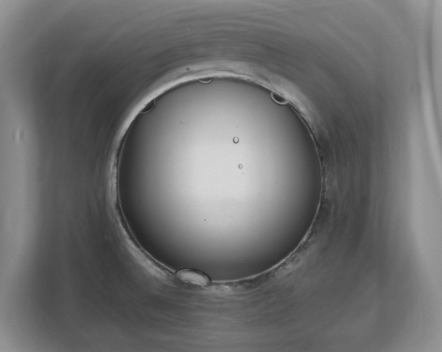 X0000113031524200909031241