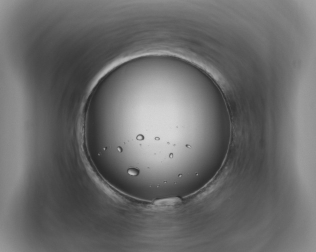 X0000113031526200909031241