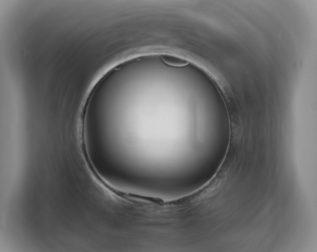 X0000113031527200909031241