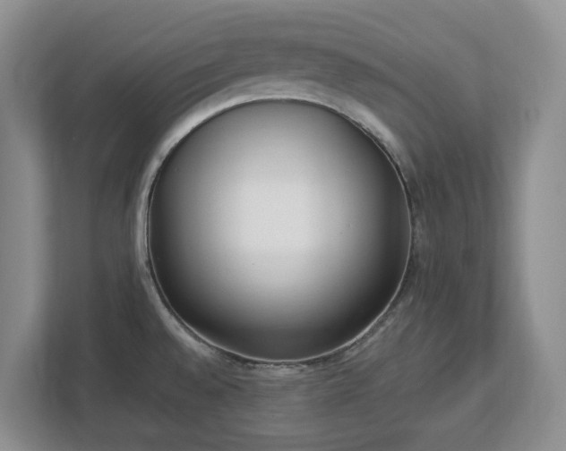 X0000113031528200909031241