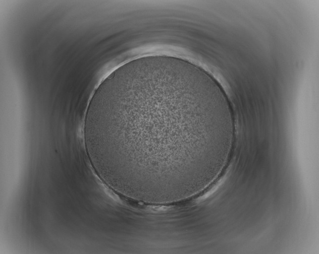 X0000113031529200909031241