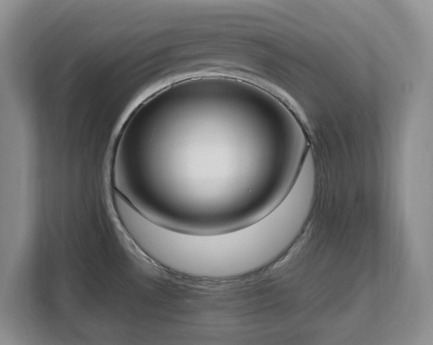 X0000113031530200909031241