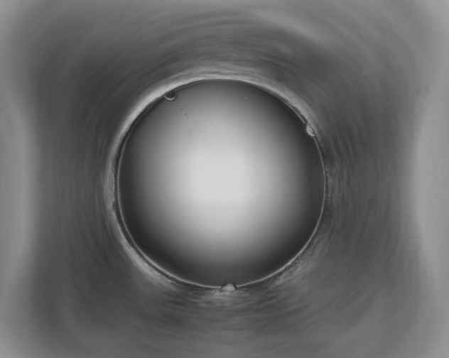 X0000113031531200909031241