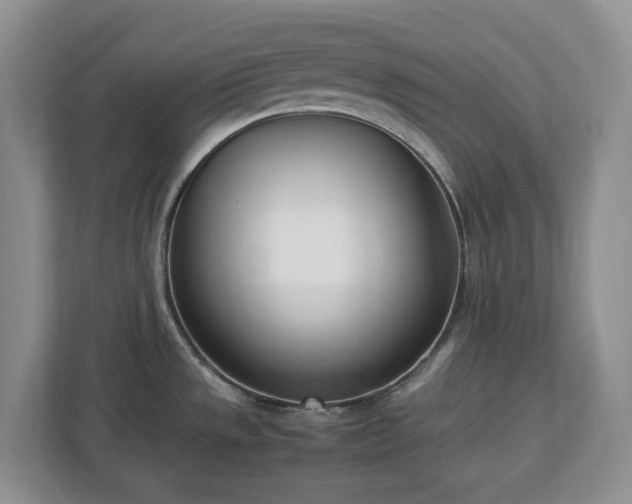 X0000113031533200909031241