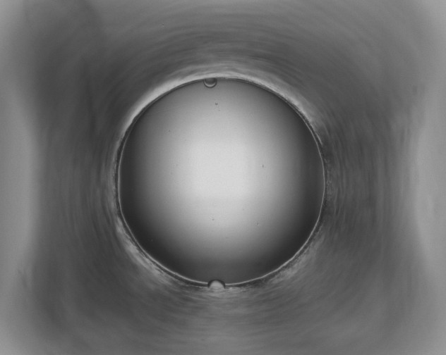 X0000113031534200909031241