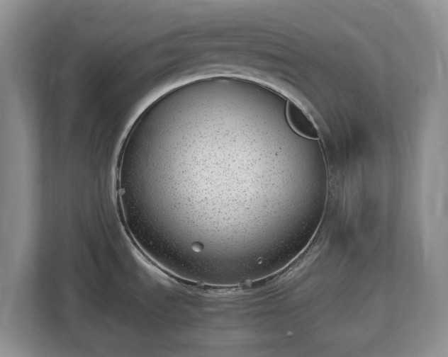 X0000113031535200909031241