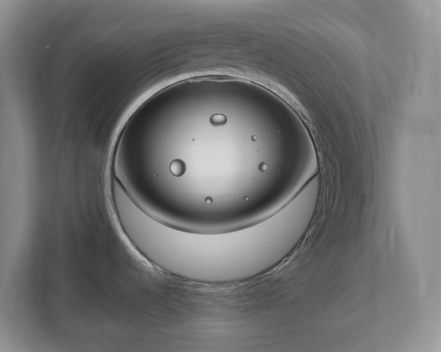 X0000113031536200909031241