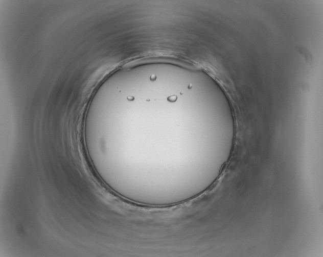 X0000113030001200909101907