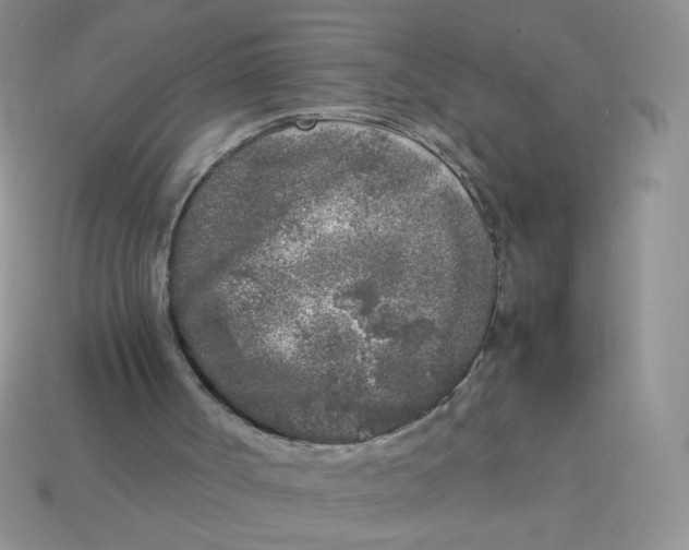 X0000113030002200909101907