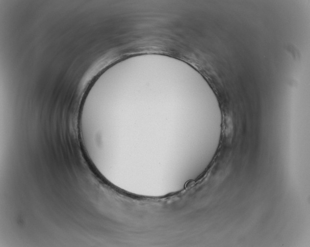 X0000113030004200909101907