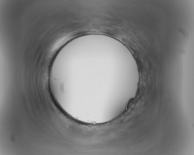 X0000113030005200909101907