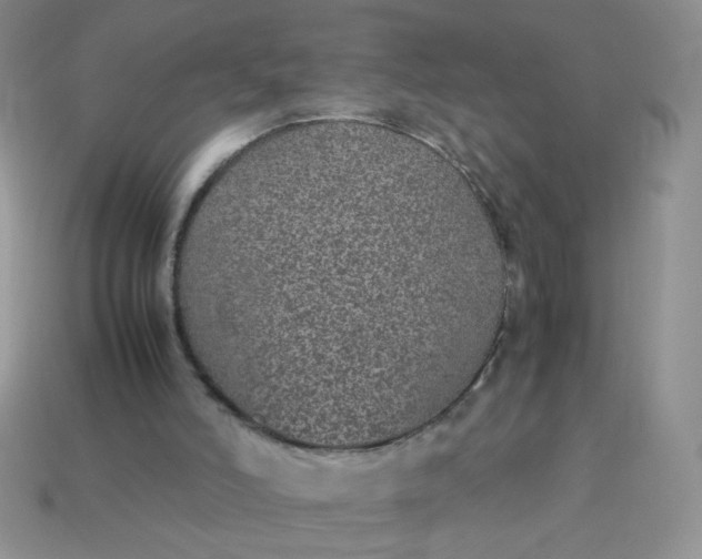 X0000113030006200909101907