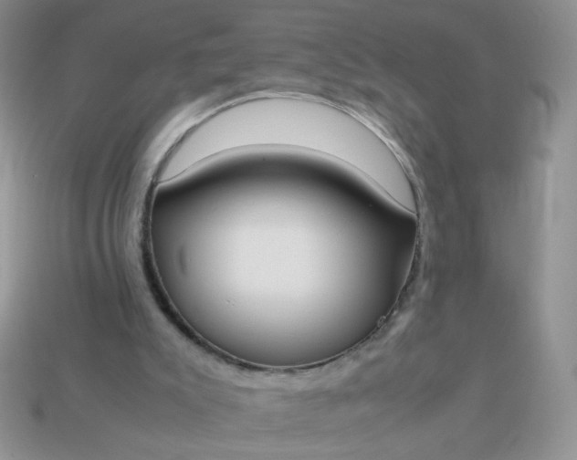 X0000113030007200909101907