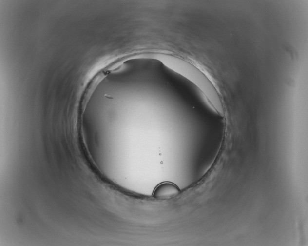 X0000113030008200909101907