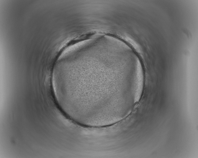 X0000113030009200909101907