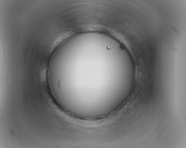 X0000113030010200909101907