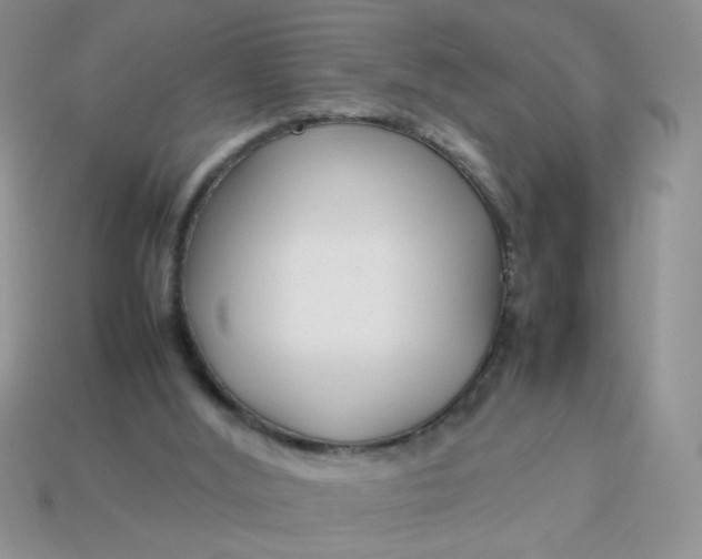 X0000113030012200909101907