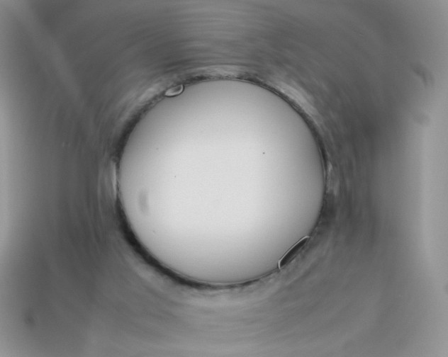 X0000113030013200909101907