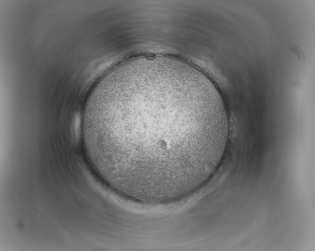 X0000113030014200909101907