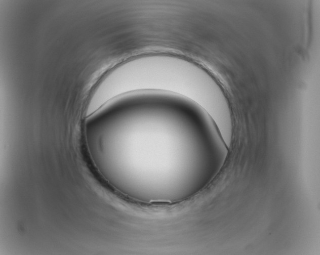 X0000113030015200909101907