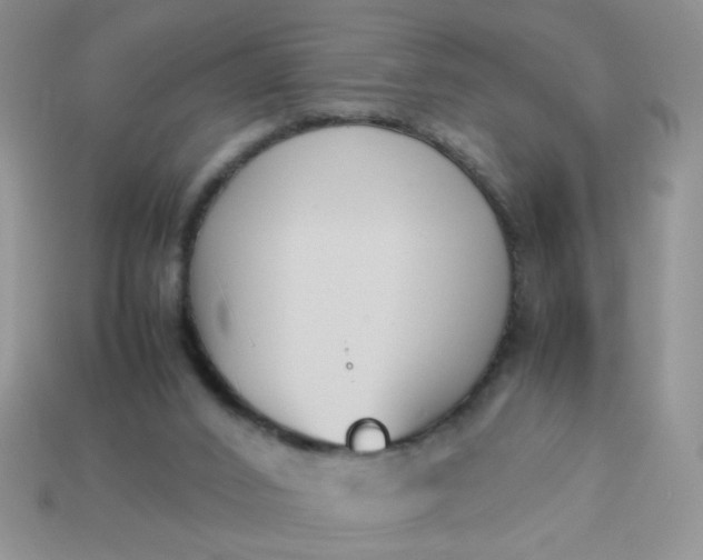 X0000113030016200909101907