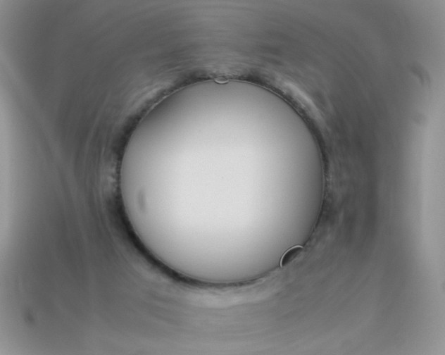 X0000113030017200909101907