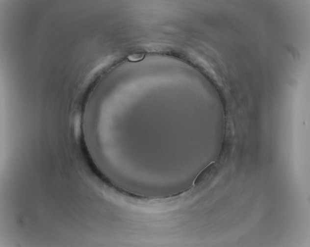 X0000113030019200909101907