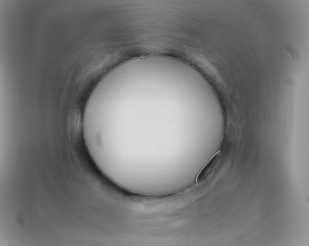 X0000113030021200909101907