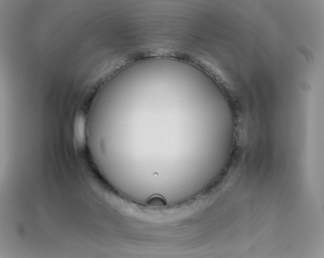 X0000113030022200909101907