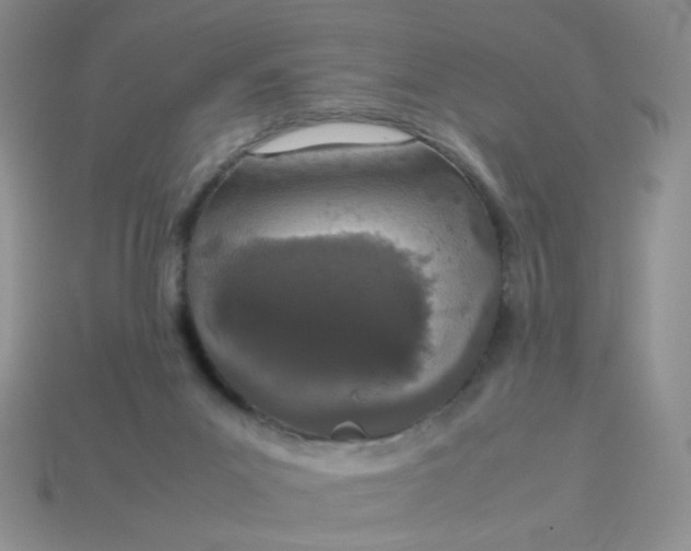 X0000113030023200909101907