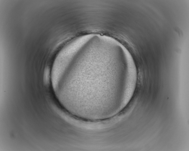 X0000113030024200909101907