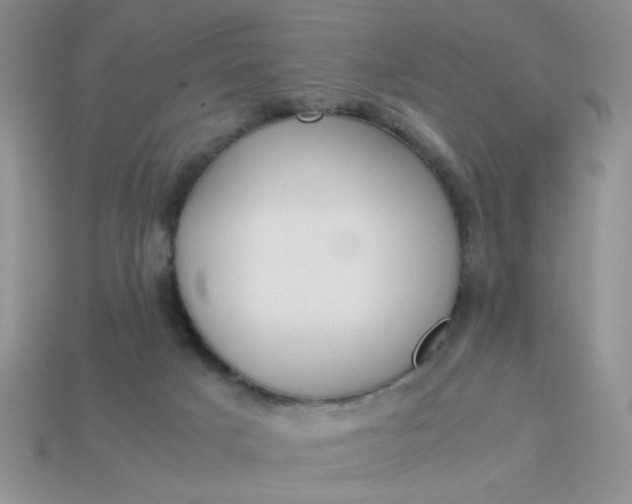 X0000113030025200909101907