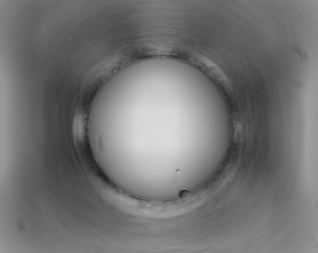 X0000113030026200909101907