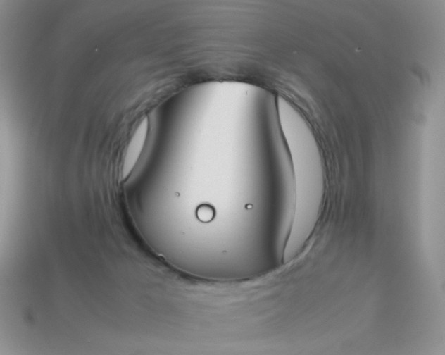 X0000113030029200909101907