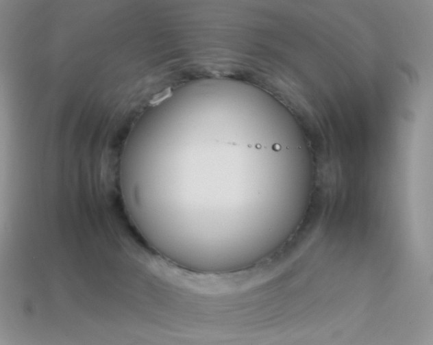 X0000113030030200909101907