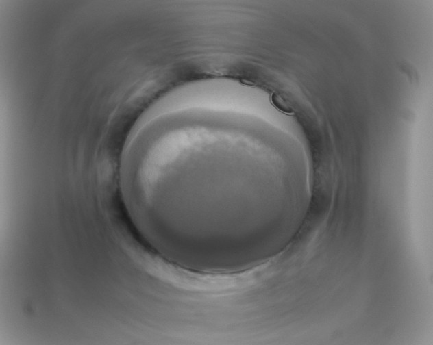 X0000113030031200909101907