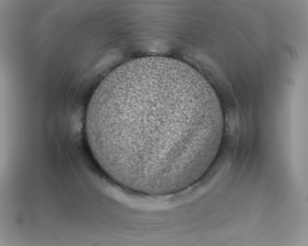 X0000113030032200909101907